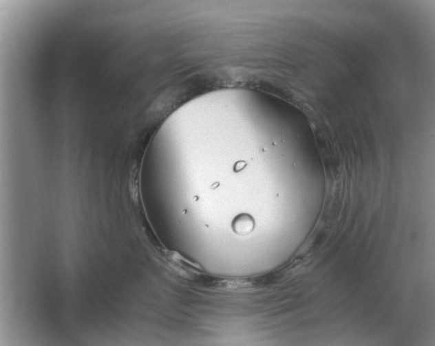 X0000064730719200602241718