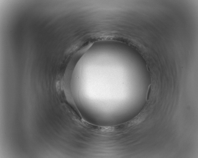 X0000064730720200602241718