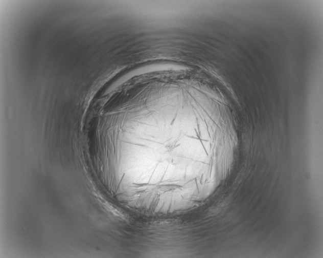 X0000064730721200602241717