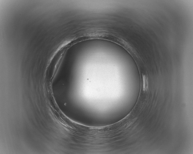 X0000064730723200602241717