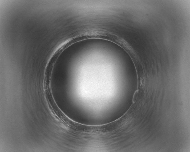 X0000064730724200602241717