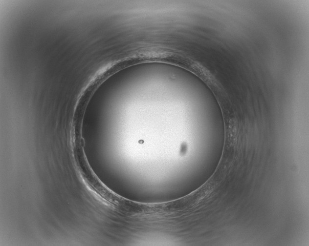 X0000064730726200602241717