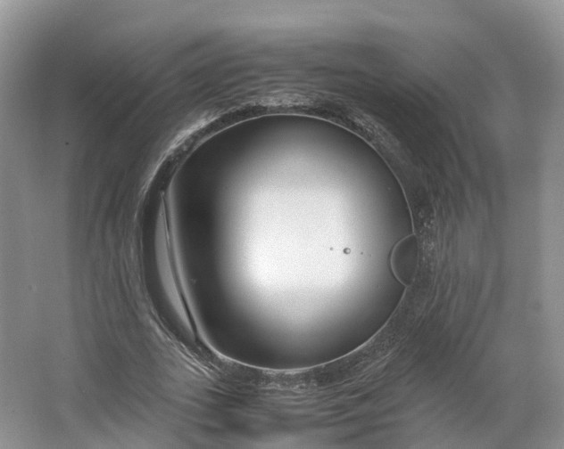 X0000064730727200602241717