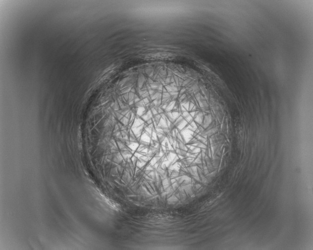 X0000064730729200602241717