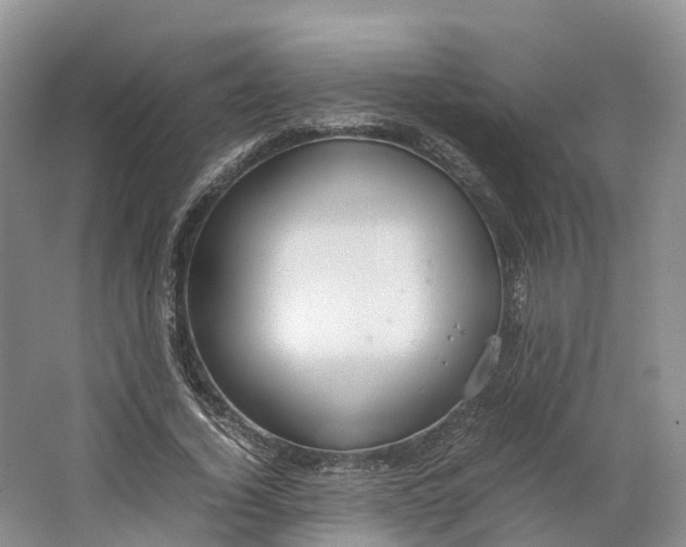 X0000064730732200602241717