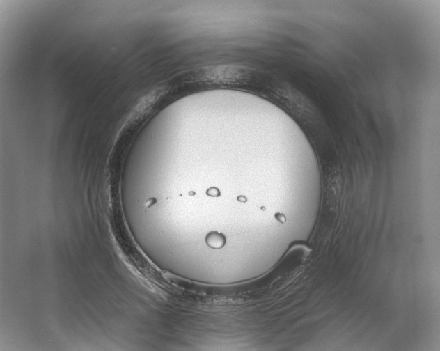 X0000064730734200602241717