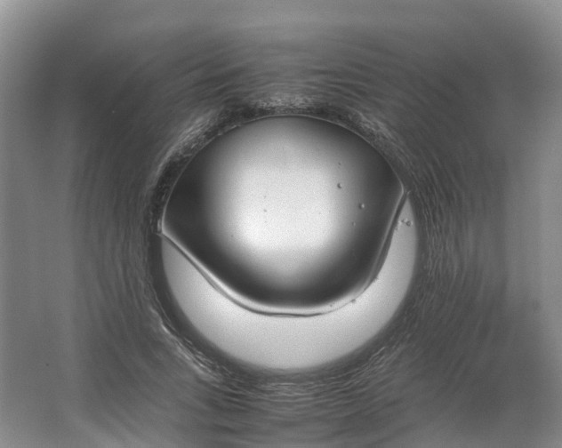 X0000064730735200602241717