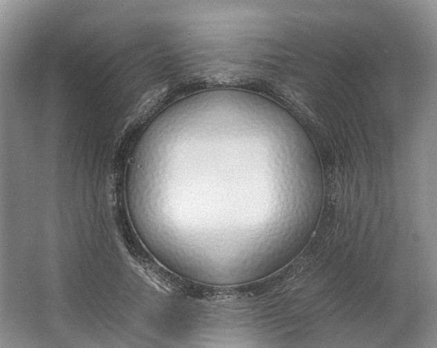 X0000064730738200602241717