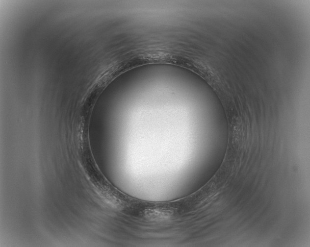 X0000064730739200602241717