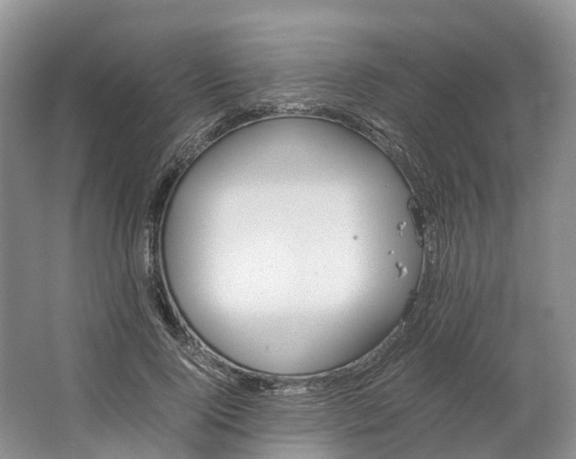 X0000064730740200602241717