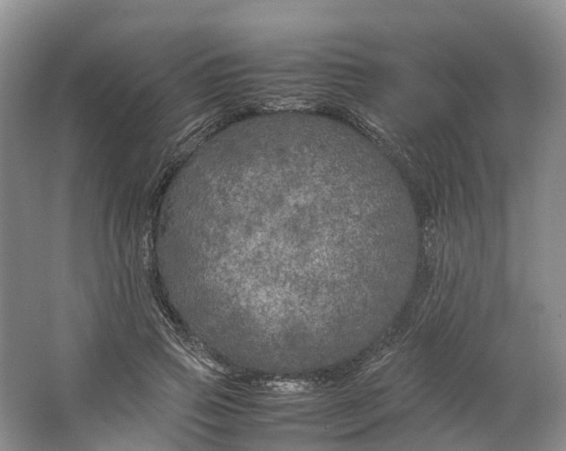 X0000064730741200602241717