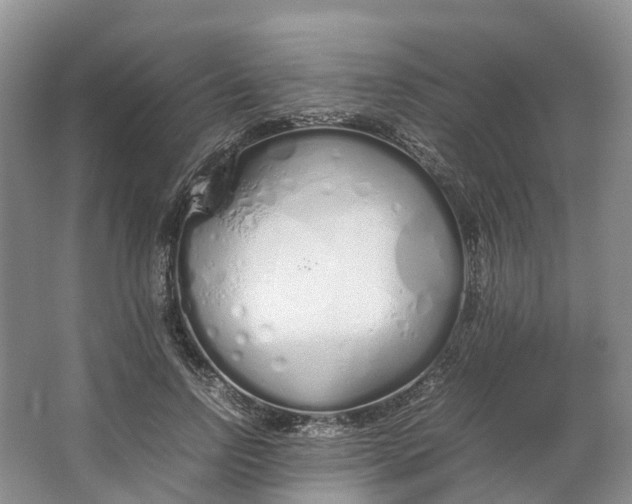 X0000064730742200602241717