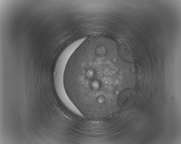 X0000064730745200602241717