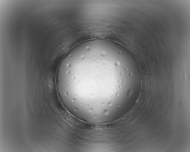 X0000064730746200602241717