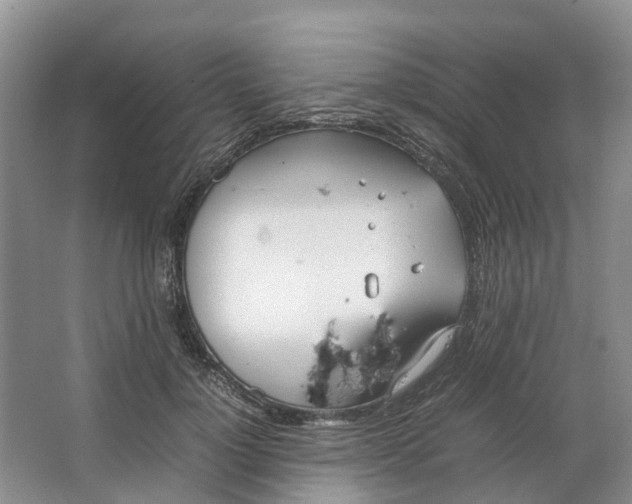 X0000064730748200602241718