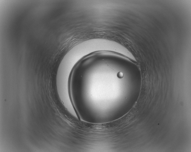 X0000064730750200602241718