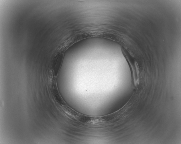 X0000064730752200602241718