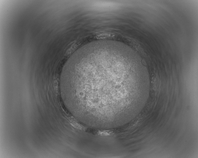 X0000064730753200602241718