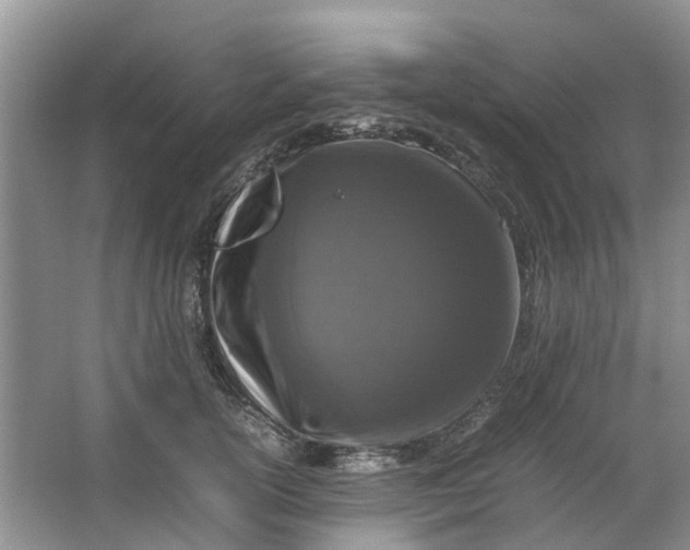 X0000064730754200602241718