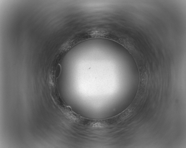 X0000064730755200602241718