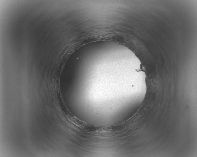 X0000064730756200602241718