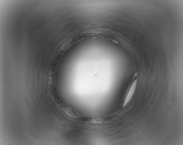 X0000064730758200602241718