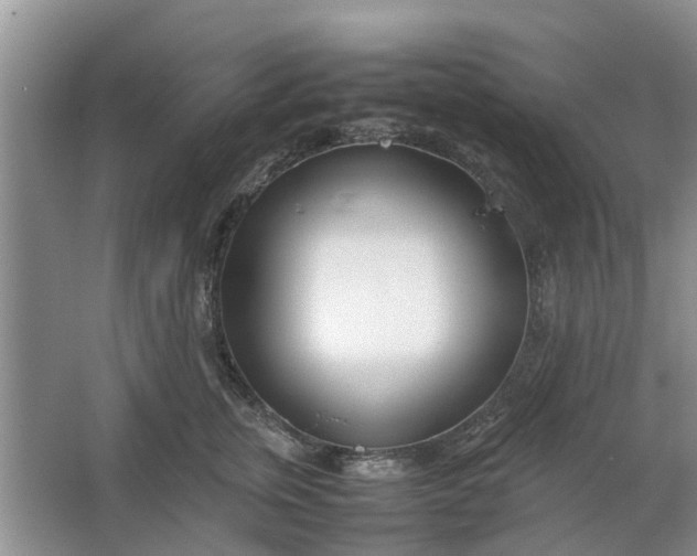 X0000064730759200602241718