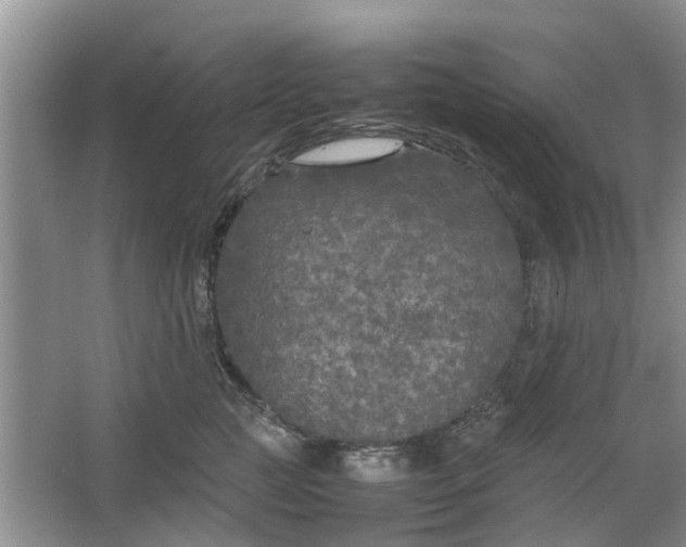 X0000064730761200602241718