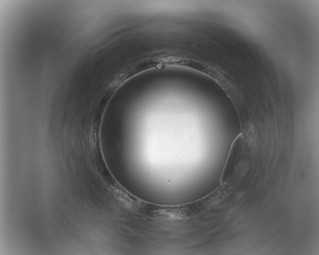 X0000064730763200602241718