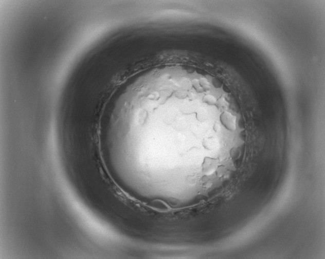 X0000064730765200602241718