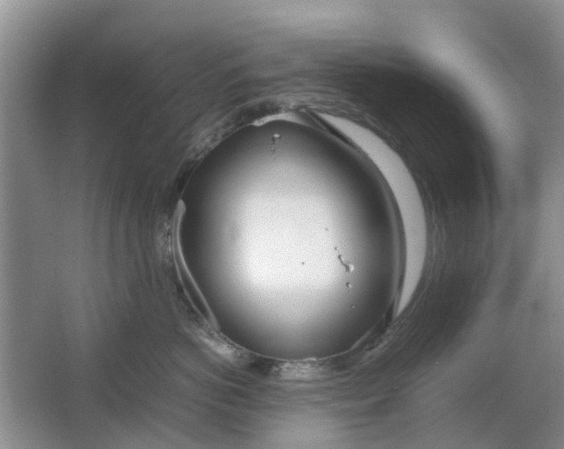 X0000064730766200602241718