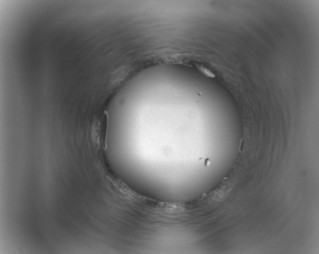 X0000064730768200602241718