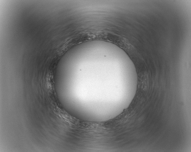 X0000064730770200602241717