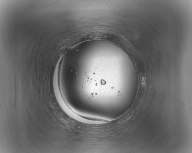 X0000064730771200602241717