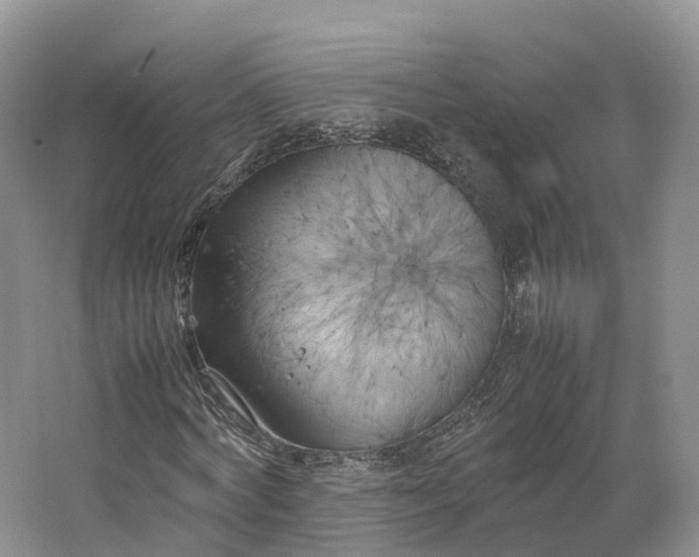 X0000064730772200602241717