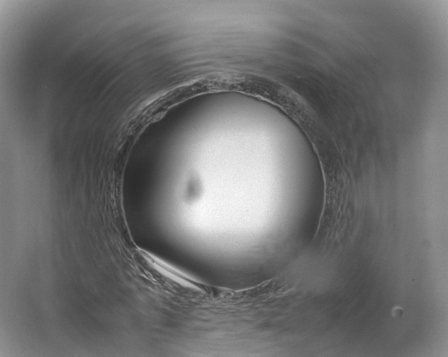 X0000064730773200602241717