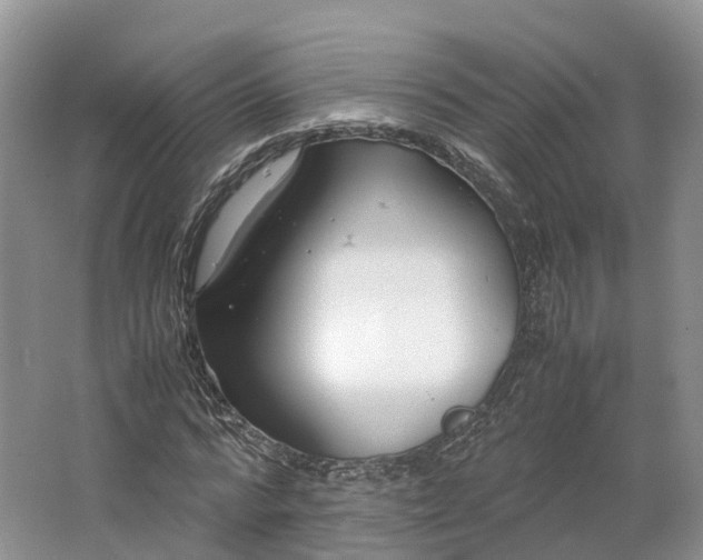 X0000064730776200602241717