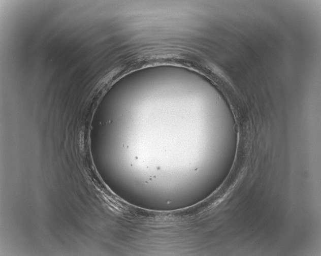 X0000064730777200602241717