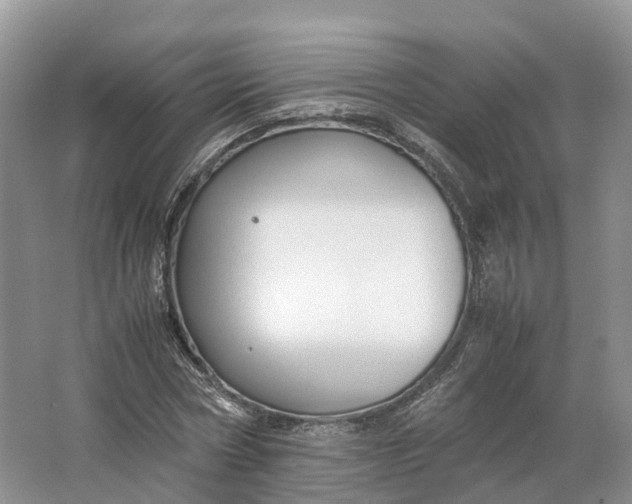 X0000064730778200602241717