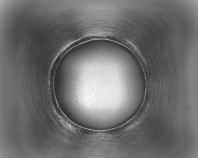 X0000064730779200602241717