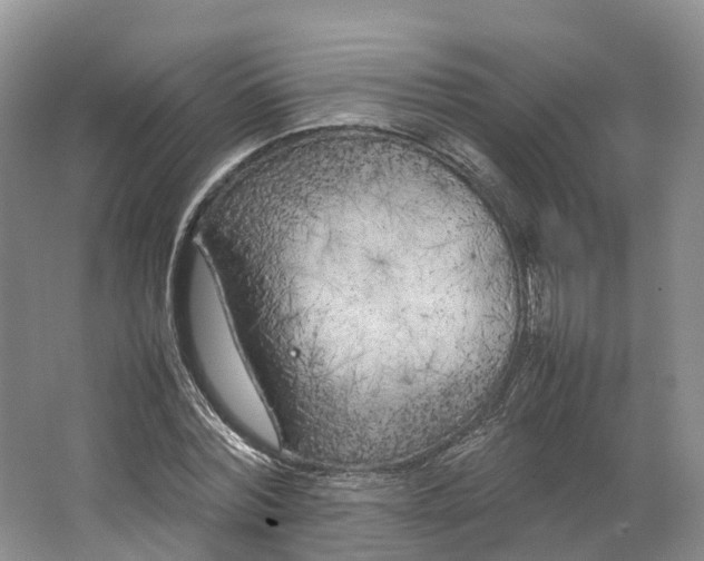 X0000064730780200602241717