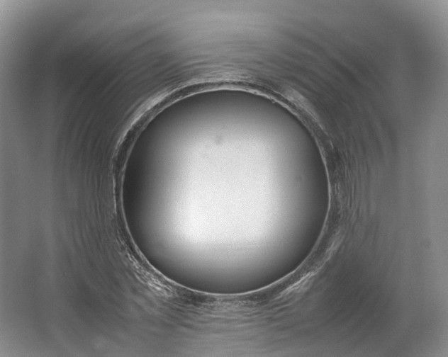 X0000064730781200602241717