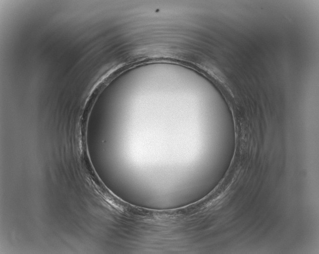 X0000064730782200602241717