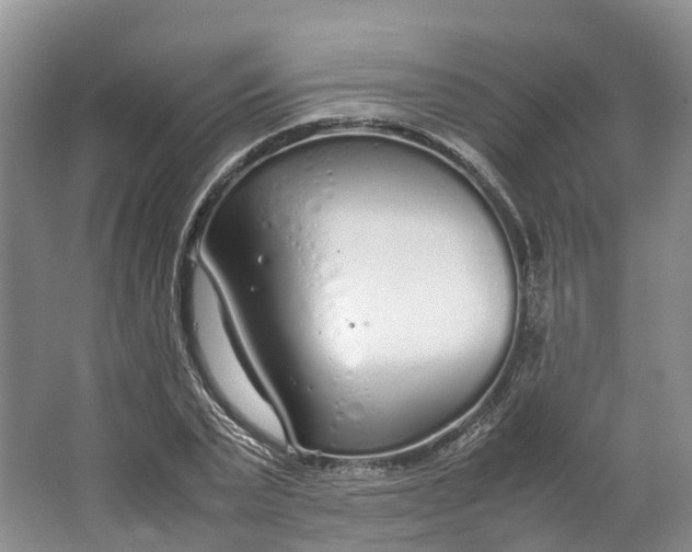 X0000064730783200602241716