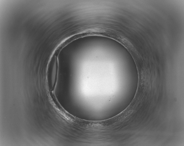 X0000064730784200602241716