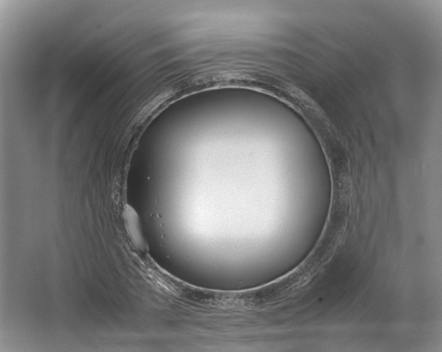 X0000064730785200602241716