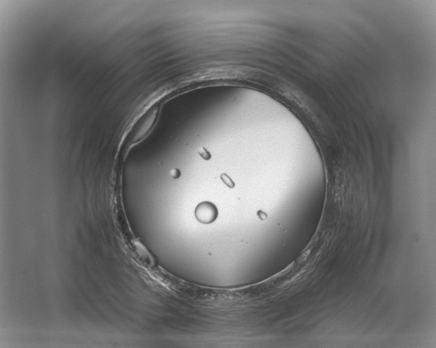 X0000064730786200602241716