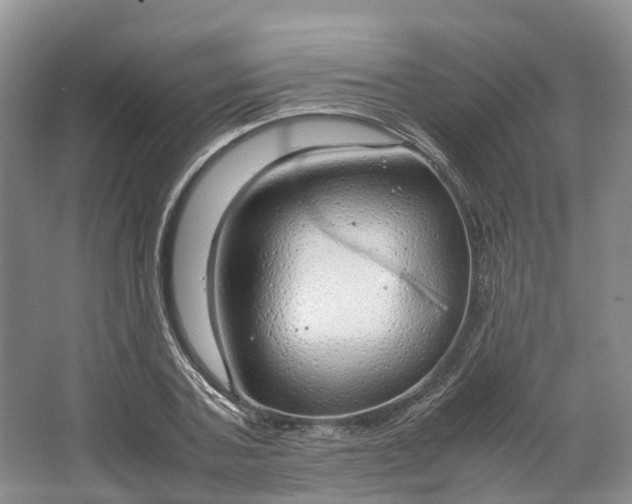 X0000064730787200602241716