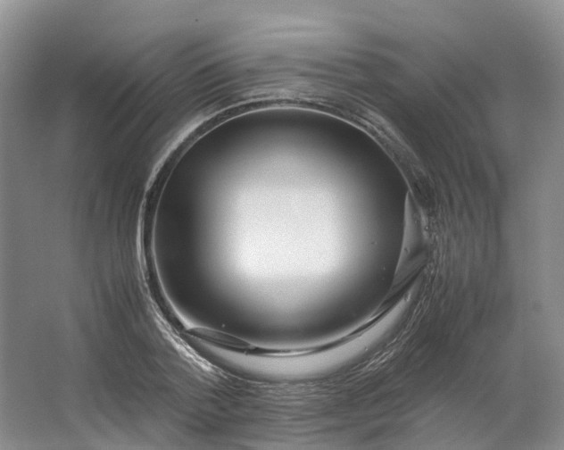 X0000064730788200602241716