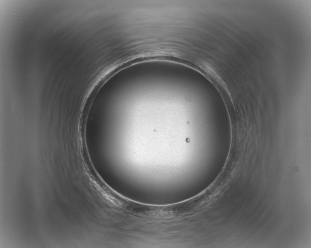 X0000064730789200602241716